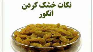 خشک کردن انگور در خانه / دستگاه خشک کن انگور و خشک کن میوه