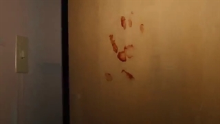 سریال زیر پرچم بهشت Under the Banner of Heaven 2022