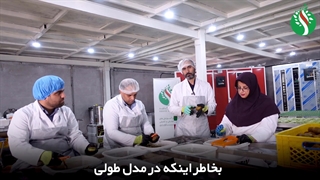 صبرکن صبرکن