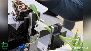 دستگاه تولید نشا گلخانه پیوندی