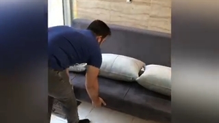 مبل تختخواب شو اداری باکسدار