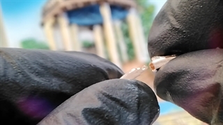 گل سیلور (خرید نقره)(خرید نقره جات)(نقره فروشی)(فروش نقره)