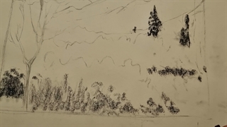 طراحی طبیعت .2