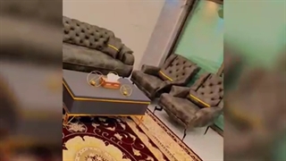 کابینت جهاندیده در شیراز