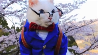 کاسپلی از انیمه کاراگاه کونان (Detective Conan)