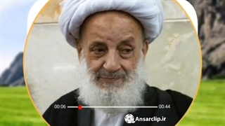 زنی که پاداش چند شهید دارد