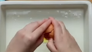 5 ساندویچ واقعا عالی