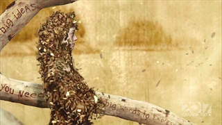 سریال آن شرلی (anne with an e) فصل ۱ قسمت ۲ + زیرنویس