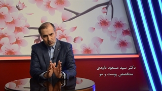 آیا فکر میکنید که کوتاه کردن مو موجب تقویت آن می شود؟