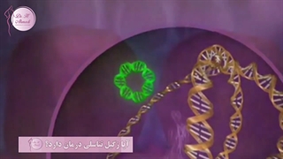 خارج کردن ویروس زگیل تناسلی از بدن