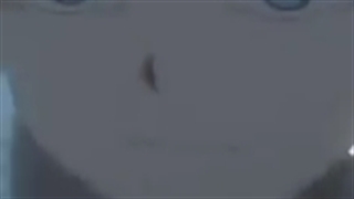 لطفا کپشن رو بخونید