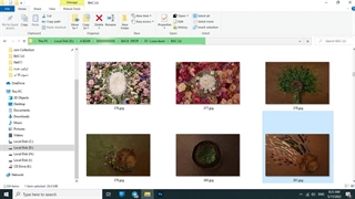 خرید بکدراپ / خرید بک دراپ