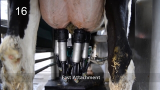 سالن شیردوشی مدرن