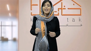 اتو بخار تفال 9848