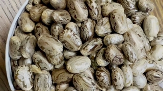 خواص روغن کرچک +تشخیص