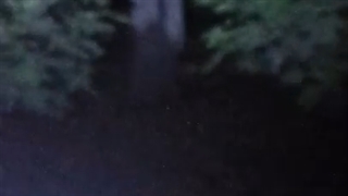 این هم یک روح که در کانال عربی پیدا کردم