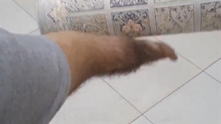 چالش 3 فرش افرند