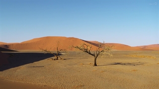 حالات زمین 3