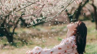 رضایت بده . روژین روناسی