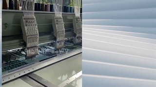 دستگاه گلدوزی کامپیوتری 12 کله اورگان