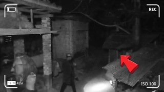 روحی که پس از گربه آمد و جوان چراغ قوه بدست را ترساند