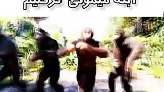 منو‌ دوستام بعد از‌ گرفتن ابله میمون