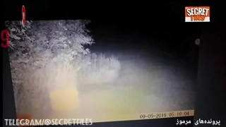 دو ویدیوی واقعی ضبط‌شده ترسناک از شکار و ضبط موجودات فضایی توسط دوربین های جنگلی (شکار دوربین _ قسمت ۷۹)