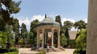 روز شیراز با فرش زندیه بلیچینگ دندان