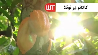 نگاهی به فرآیند ساخت نوتلا فیلم