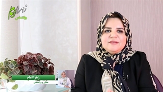 مثلث کارپمن