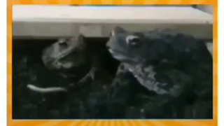 پدرتو خوردم...D: