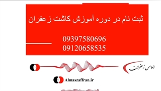 آموزش تجارت زعفران فروش زعفران در بازار
