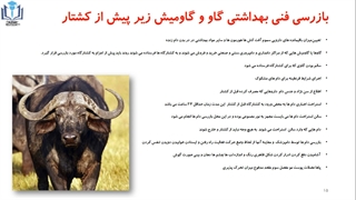 بخش اول بهداشت و باززسی گوشت