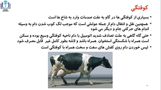 بخش دوم بهداشت و بازرسی گوشت
