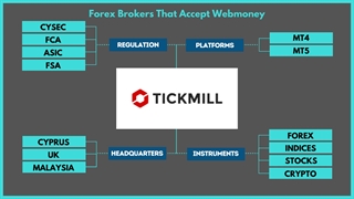 Top WebMoney Forex Broker In Malaysia