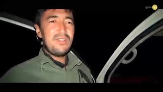 سردار پالمیرا