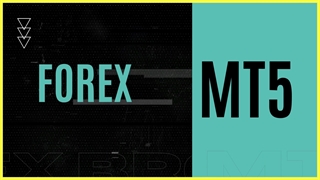 MT5 Forex Brokers - List Of Best Forex Broker