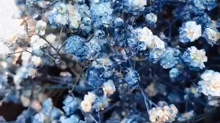 خرید دسته گل