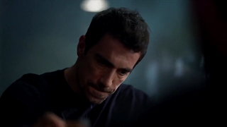 پرواز پرنده