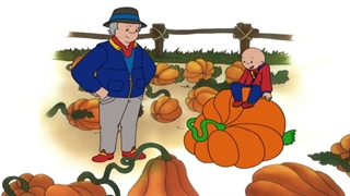کارتون انگلیسی Caillou