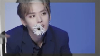 ویدیو تیزر گروهی اسکیز برای تور Maniac در ژاپن~