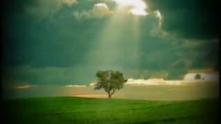 بهشت از دست آدم رفت از اون روزی که گندم خورد _ محمد اصفهانی