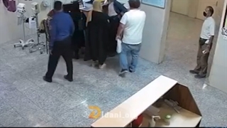 مستر+تیستر
