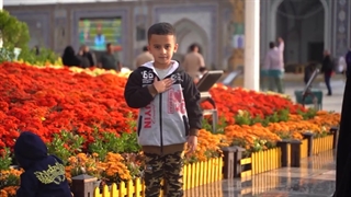 نماهنگ السلطان اباالحسن همه خادم الرضائیم