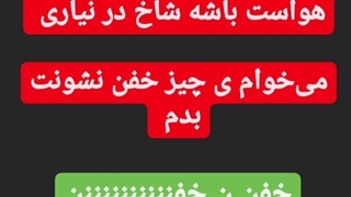 7 روز 70 درصد سود 