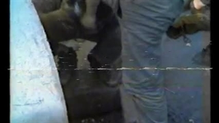 اوج عرفان رزمندگان به روایت دوربین‌های جبهه + فیلم