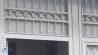 تتلو در سفارتخانه