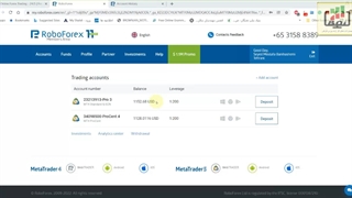 ربات فارکس پرفسورا (سود 20 درصدی ربات ونتایج ربات در حساب ریل)