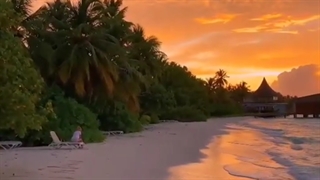 زندگی‌تلخه