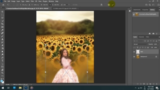 خرید بکگراند لایه باز